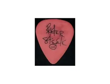 Dunlop Peter Steele Custom Tortex 0.50mm Picks