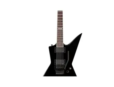 LTD EX-401FR