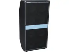 Acoustic control corporation 8x10 Cabinet