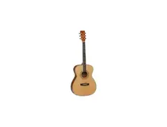 Tanglewood DBT DLX F main image