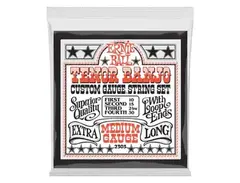 Ernie Ball 2303 Tenor Banjo Stainless Steel Medium main image