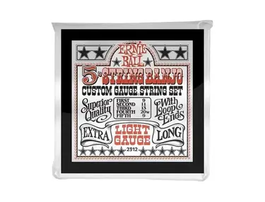 Ernie Ball 2312 5-string Banjo Stainless Steel Light