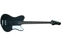 Schecter Ultra Bass
