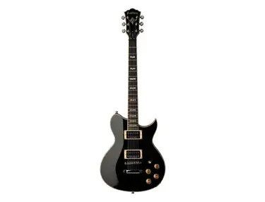 Washburn WI66 PRO