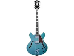 D'Angelico Premier DC main image