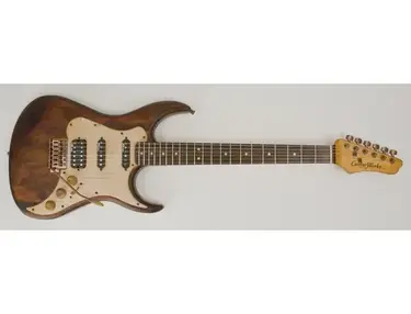 Guitar Works GWSE