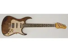 Guitar Works GWSE main image
