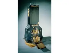 Fotdella main image