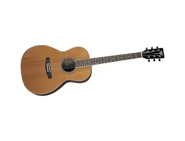 Aria AP STD Parlor Acoustic