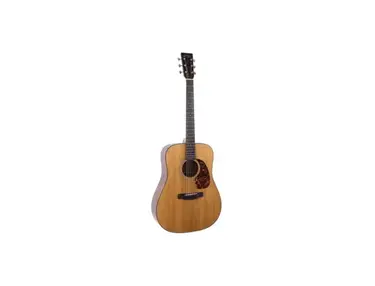 Recording King Torrefied Series RD-T16 Dreadnought