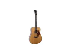 Recording King Torrefied Series RD-T16 Dreadnought main image