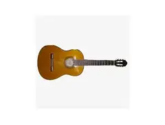 Samick LG025G Classical Guitar main image