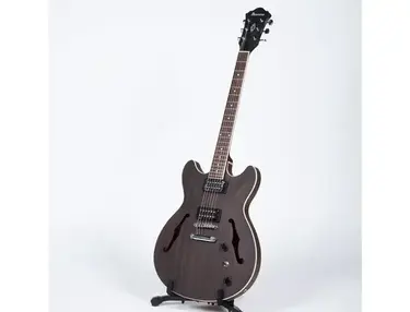Ibanez 6 String Semi-Hollow-Body