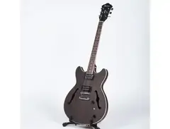 Ibanez 6 String Semi-Hollow-Body