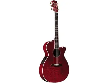 Alvarez FF60WR