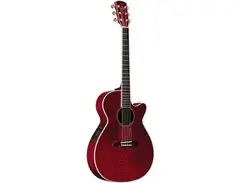 Alvarez FF60WR main image