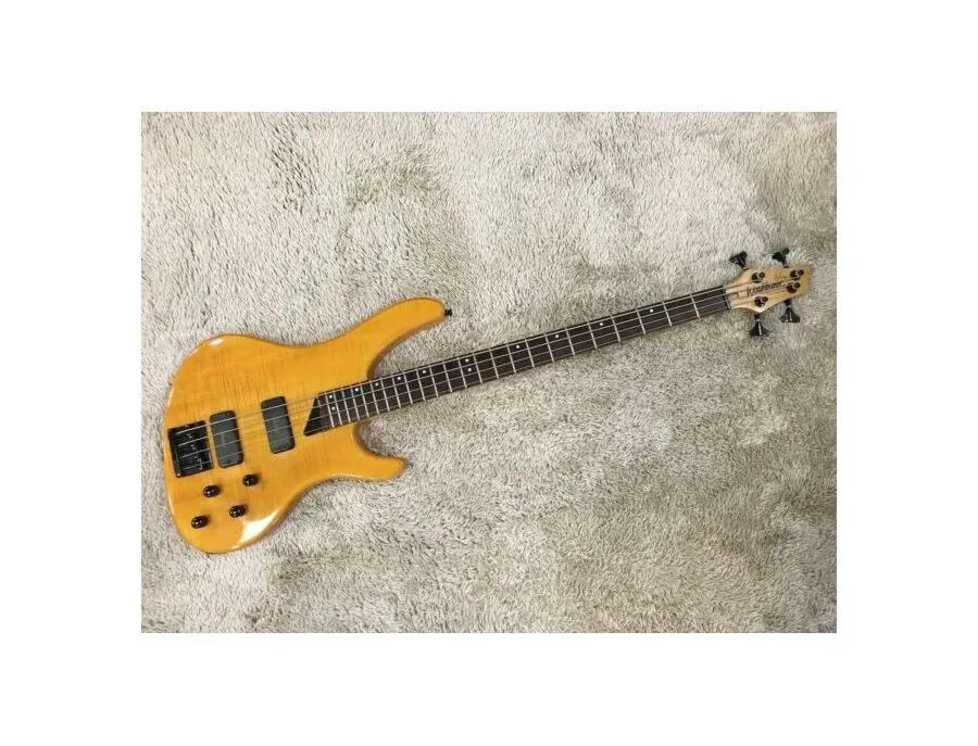 Washburn KE 1250 Kip Winger Signature Model - What To Know & Where