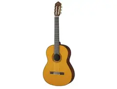 Yamaha C80 main image