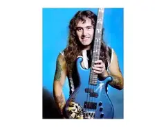 Lado Steve Harris Superfalcon Custom Bass main image