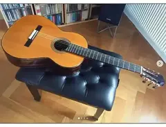 Andreas Kirmse double top guitar no. 83 main image