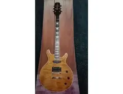 Hamer Jeff Watson Archtop (Flame Maple) main image