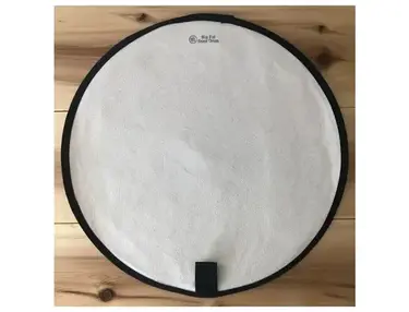 BFSD Quesadilla