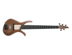 Ibanez AFR5MP main image