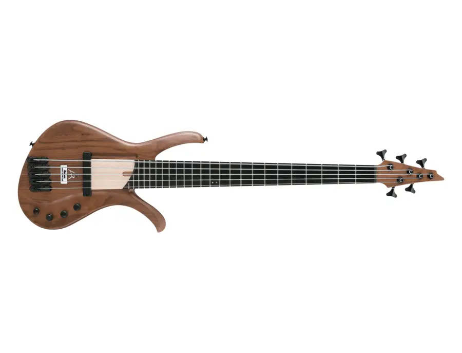 Ibanez AFR5MP - What To Know & Where To Buy | Equipboard Ibanez AFR5MP - What To Know & Where To Buy | Equipboard