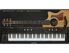 Ample Guitar Taylor main image