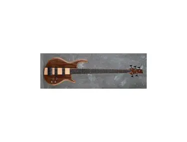 IC5 Icon Series 5-String Electric Bass