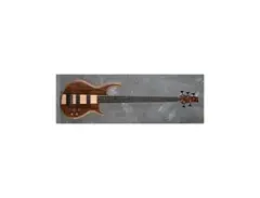 IC5 Icon Series 5-String Electric Bass