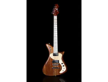 Dan Becker Retro Series Guitar