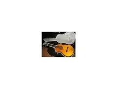 Fender FC-120 main image