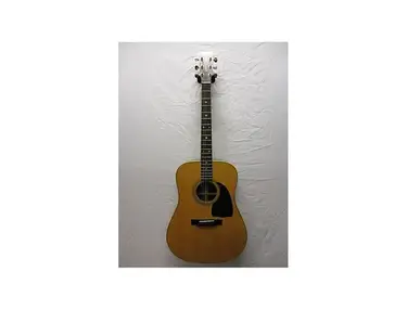Hohner HG310