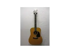 Hohner HG310 main image