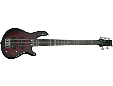 Schecter Rainden Special-5