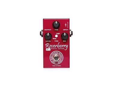 AMT Electronics RY-1 Reverberry - Digital Reverb