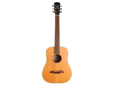 Alveraz MSD1