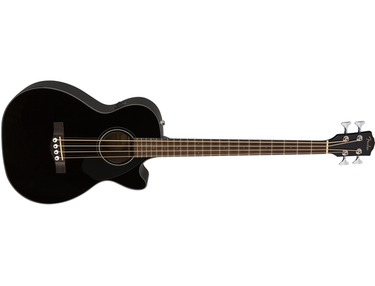 Fender Electro Acoustic Bass Guitar