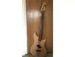 Luthier Inostroza Fretless Bass Guitar Custom main image