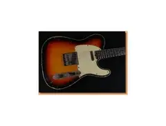 Bravewood Telecaster main image