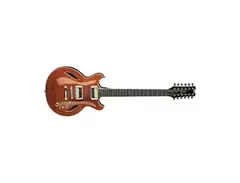 Dean Sarasota 12-String main image