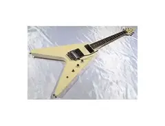 Fernandes The Function BSV-70 main image