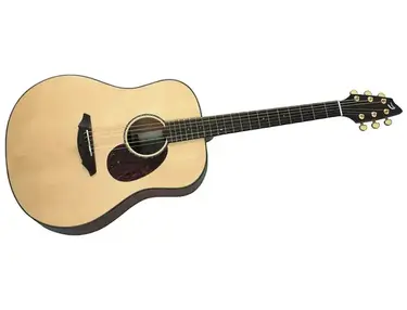 Breedlove AD20/SM