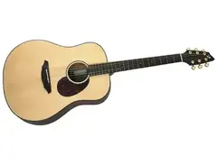 Breedlove AD20/SM main image