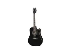 Washburn D10SCE