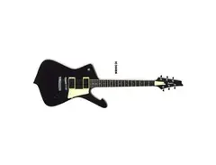 Ibanez IC300 main image