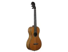 Rene Lacote guitar (1820s)