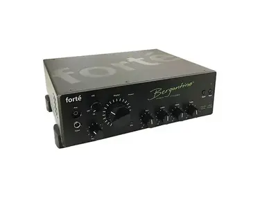 Bergantino Forte bass amplifier