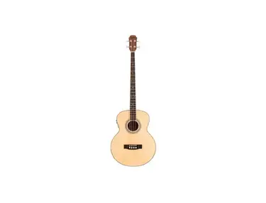 Bass Leonard Acustic LB-429E N